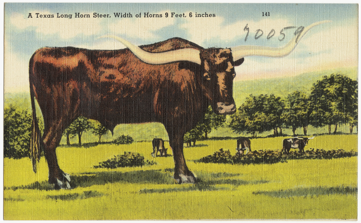 an old style po of a large steer on a plain