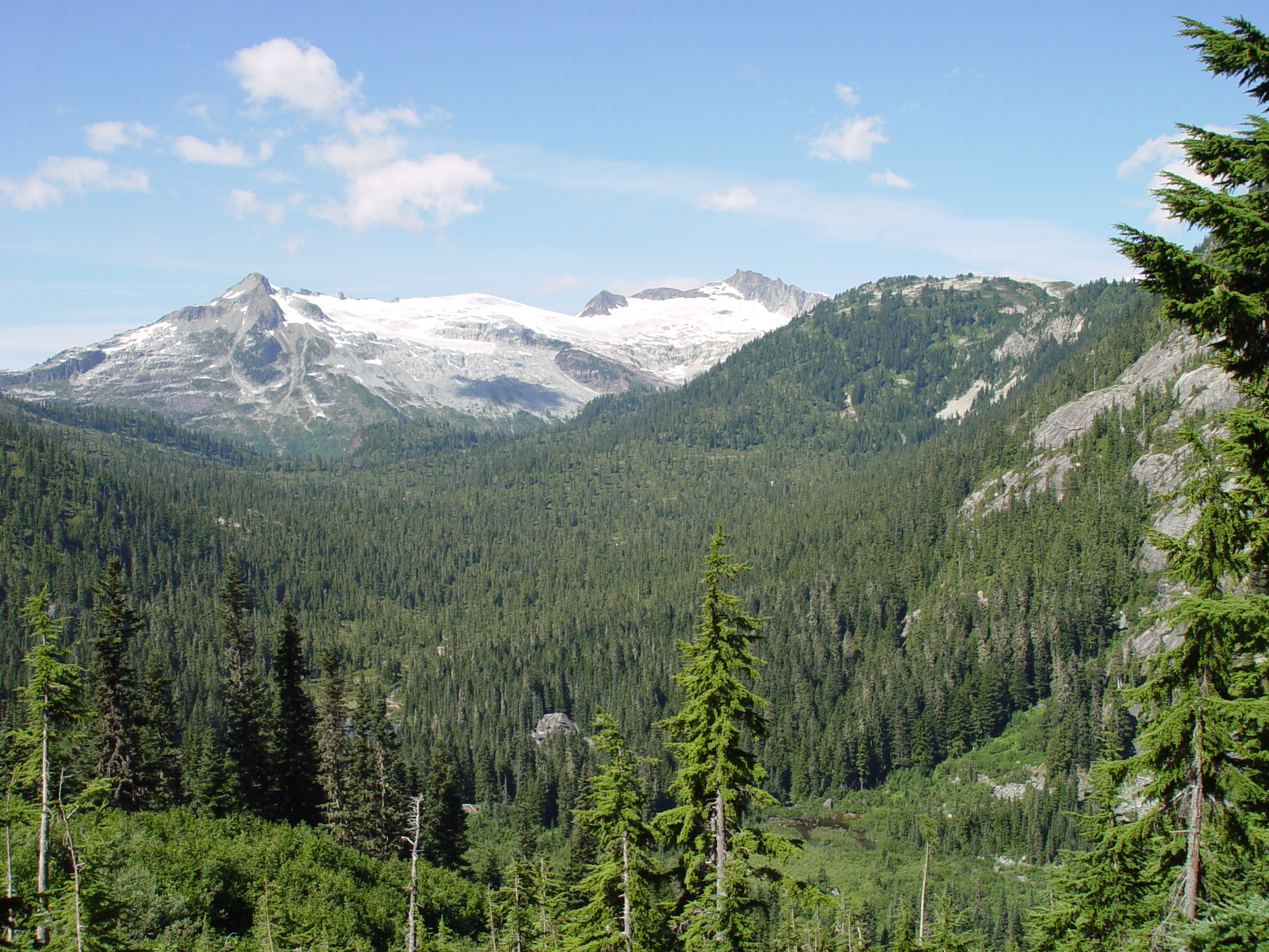 a landscape po of pine trees, mountains and sky