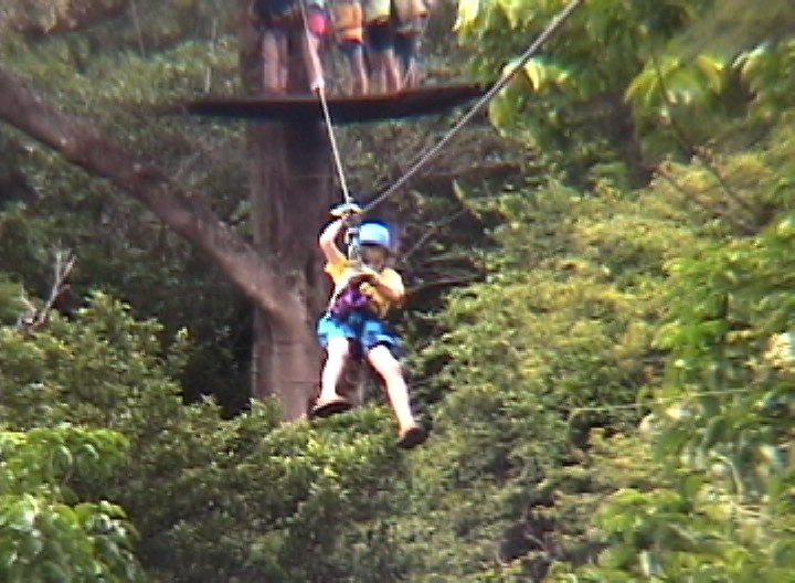 a person in blue clothes hanging off the side of a tree