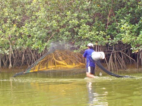 a person in water holding a net with trees behind them