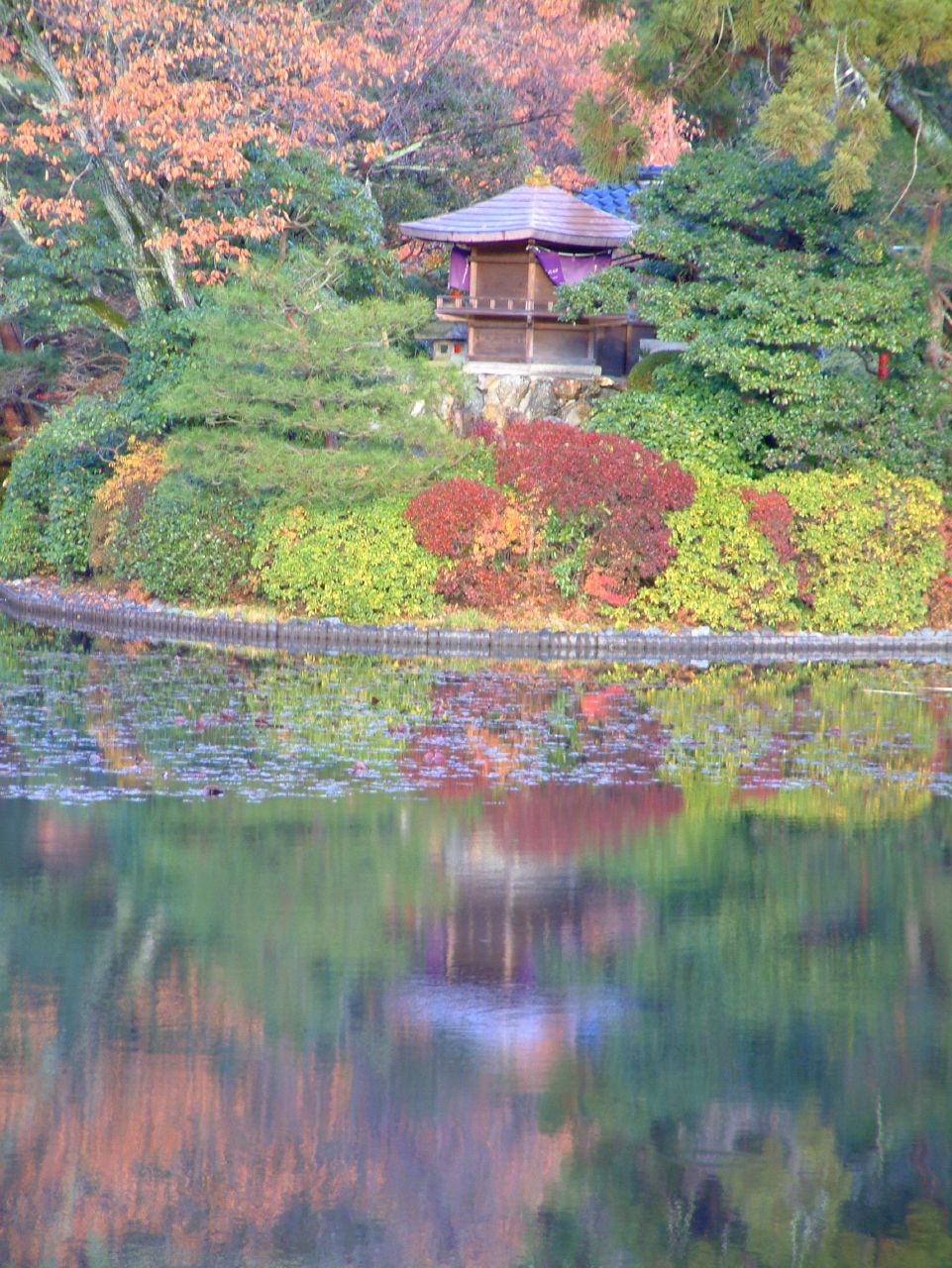 an area with a small building and a large pond