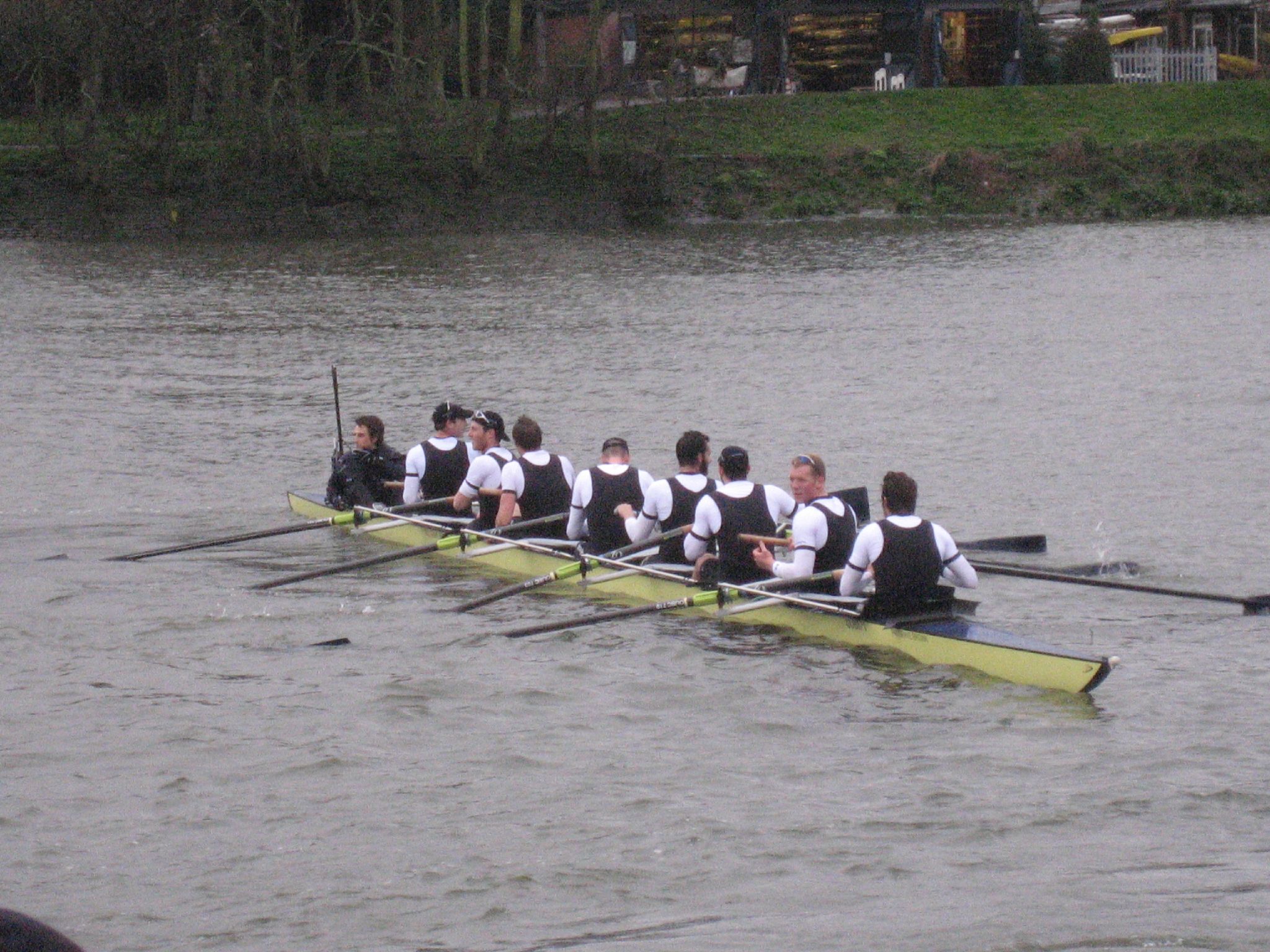 eight rowers in a row on a lake