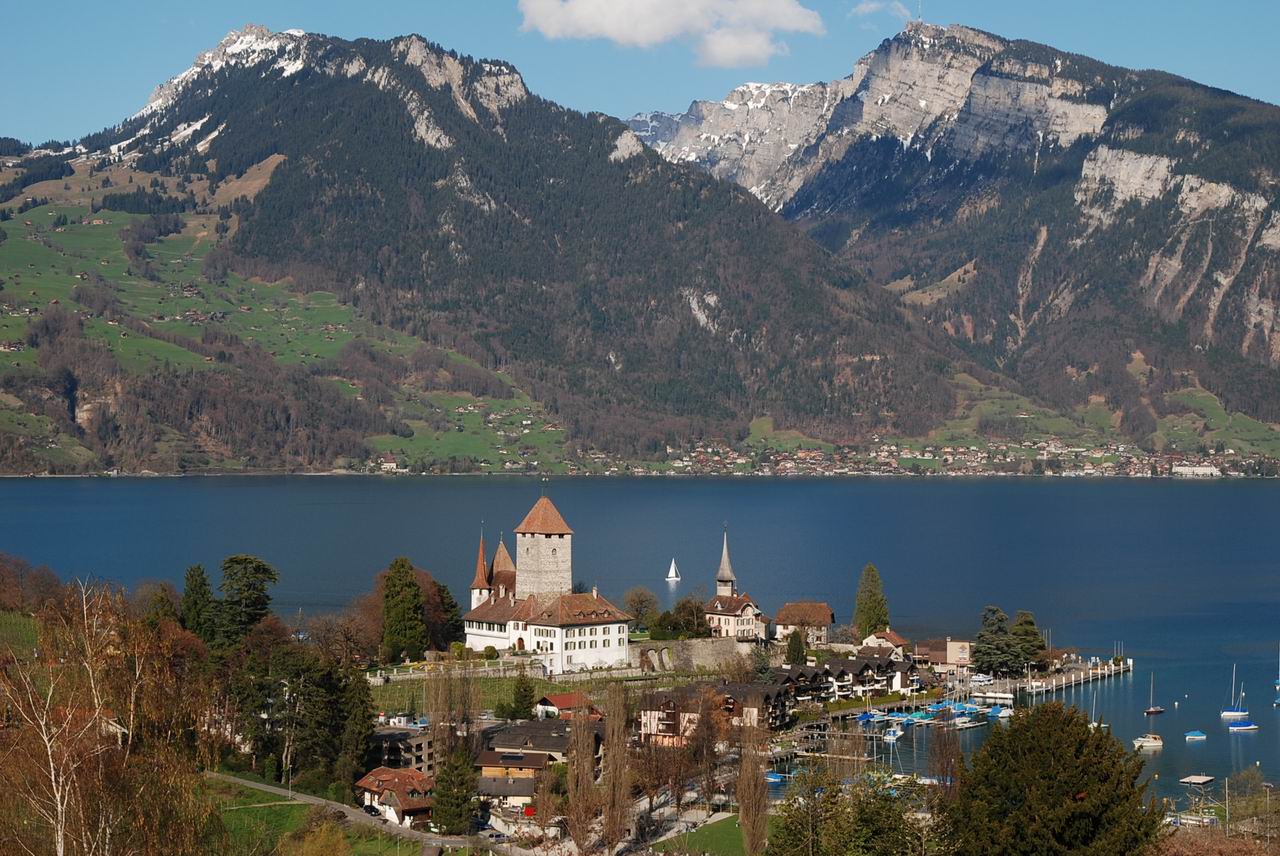 view of a small town with a lake and mountains