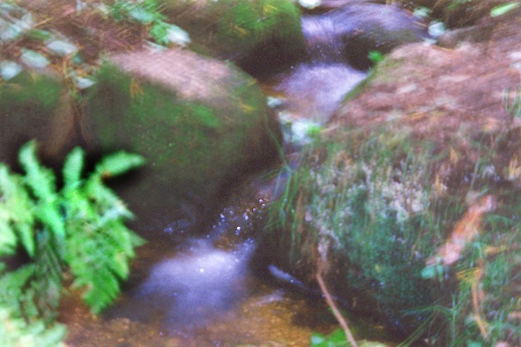 a creek running between green rocks and greenery