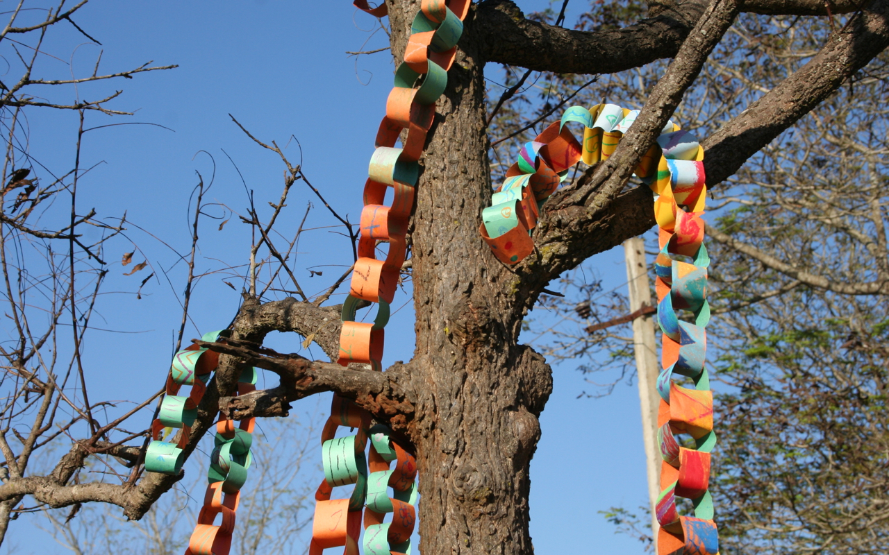 a tree with many colored ribbons on it