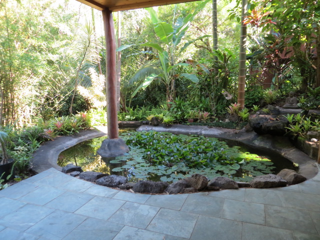 small pond surrounded by plants and a small gazebo