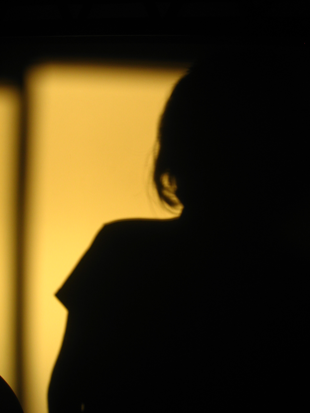 silhouette of a woman in profile facing off into the distance