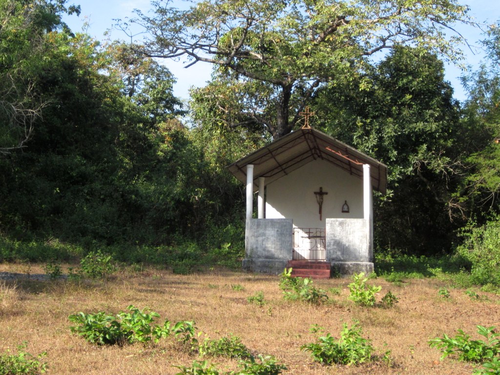 a small white and wooden church is surrounded by brush