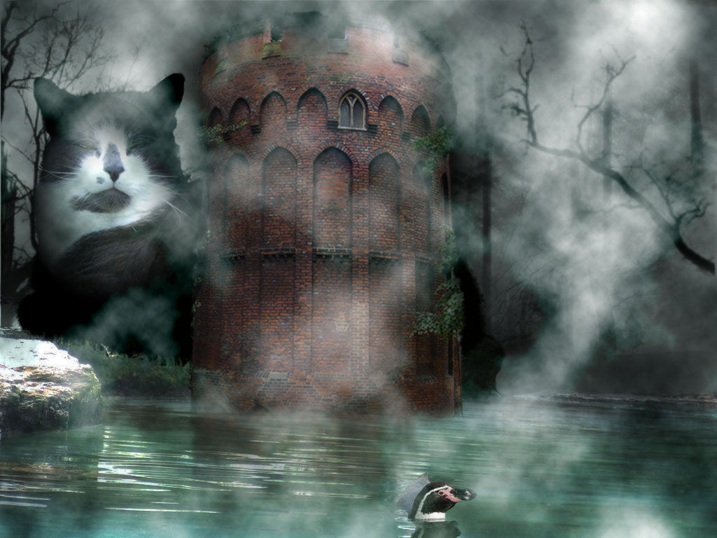 two cats standing in the water next to a tower