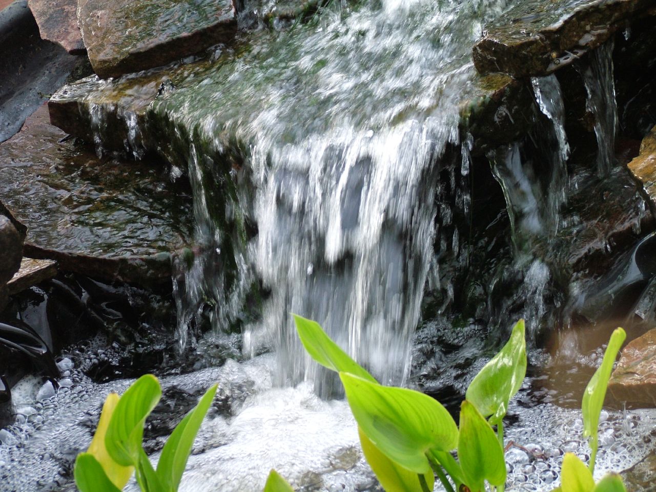 a waterfall flowing over a creek filled with green plants