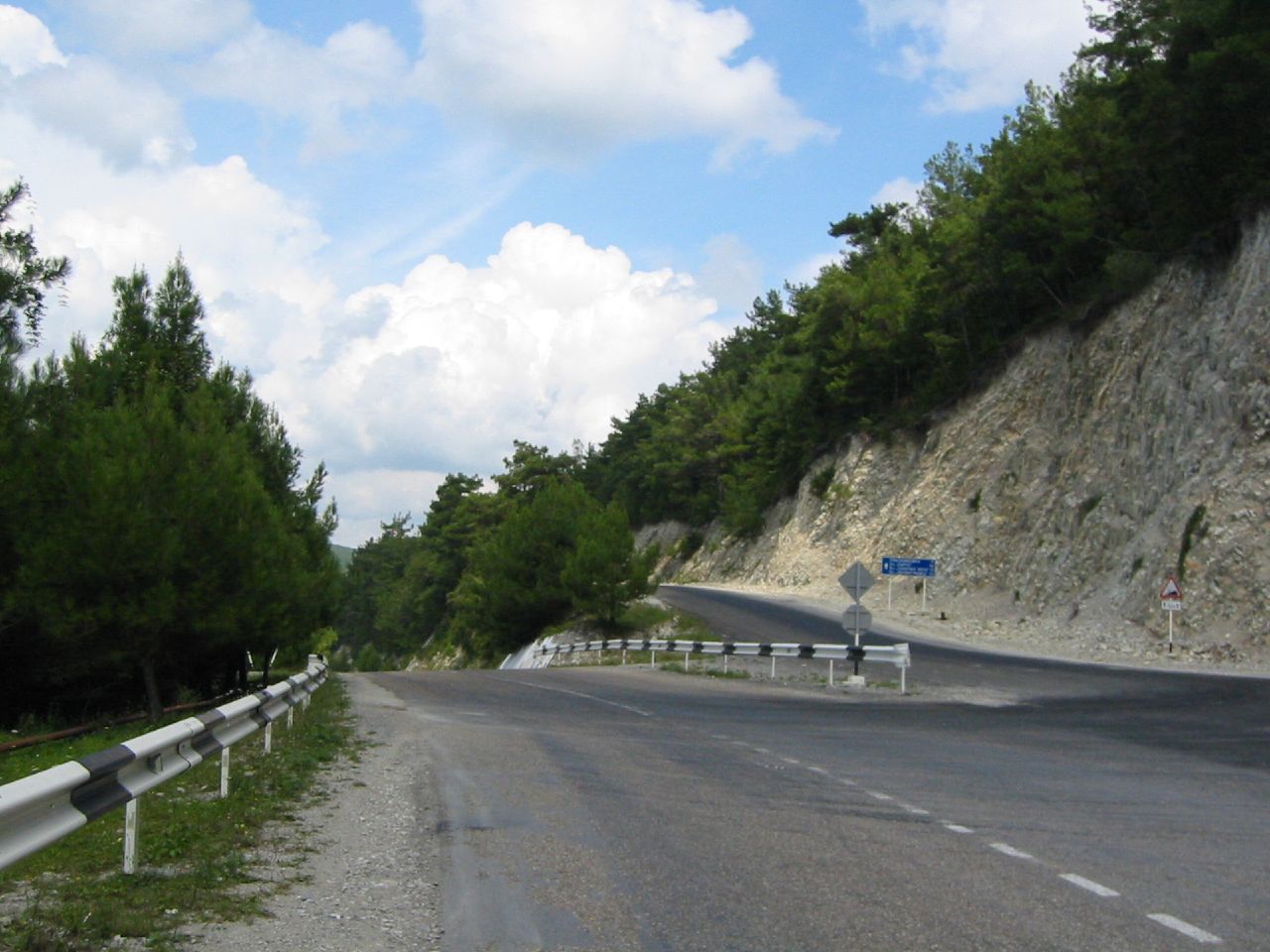 a curved roadway next to some trees on a hill