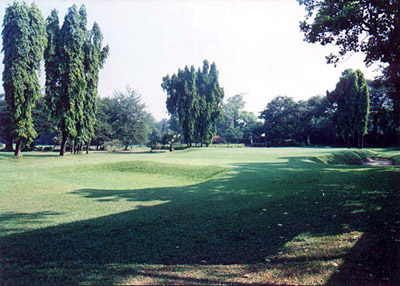 a view of the green and pard in a golf course