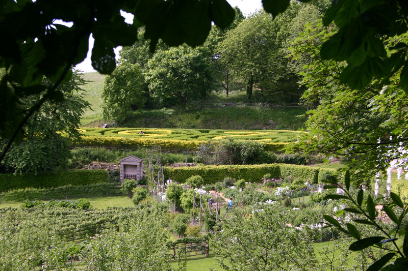 an image of a beautiful garden setting in the day time
