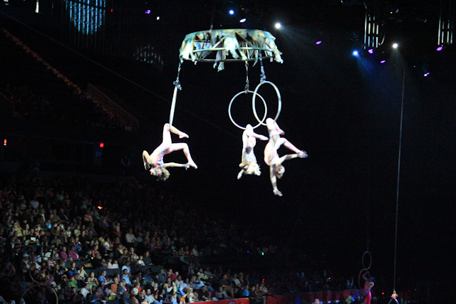 two acrobatic performers are suspended from hoop rings