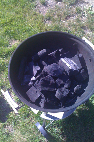 there is black coal in the pan on the ground