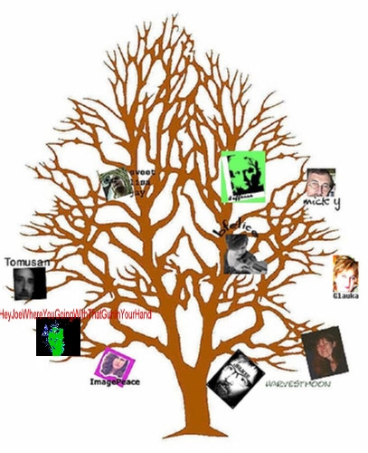 a large tree with a variety of pictures on it