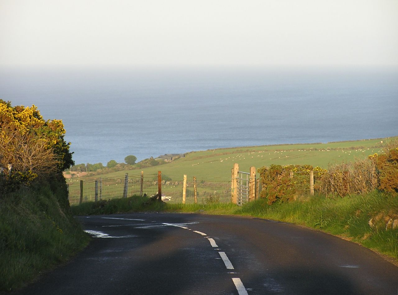 an empty road with sheep in the distance, near to a fence