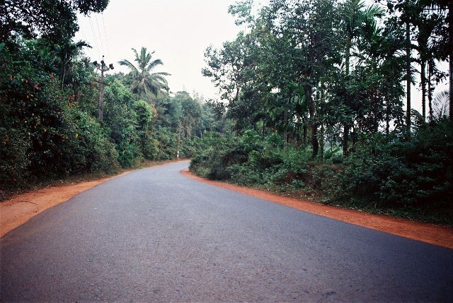 an empty road with lots of trees and bushes on both sides