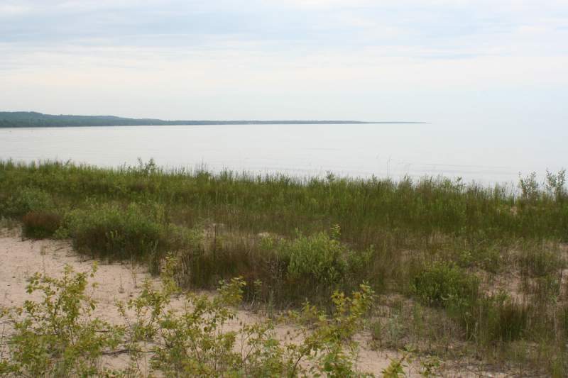 a beach with an empty body of water and some green brush