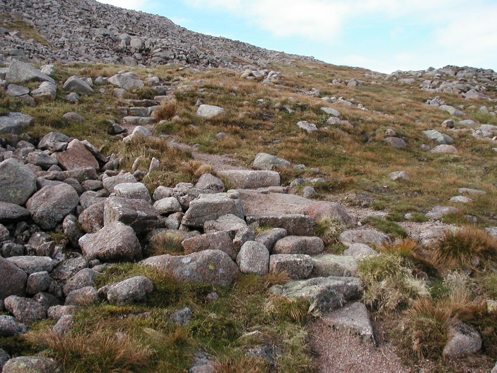 some rocks and grass on a hill side