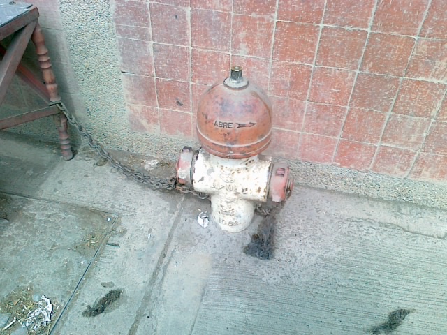 there is a fire hydrant on the sidewalk next to the curb