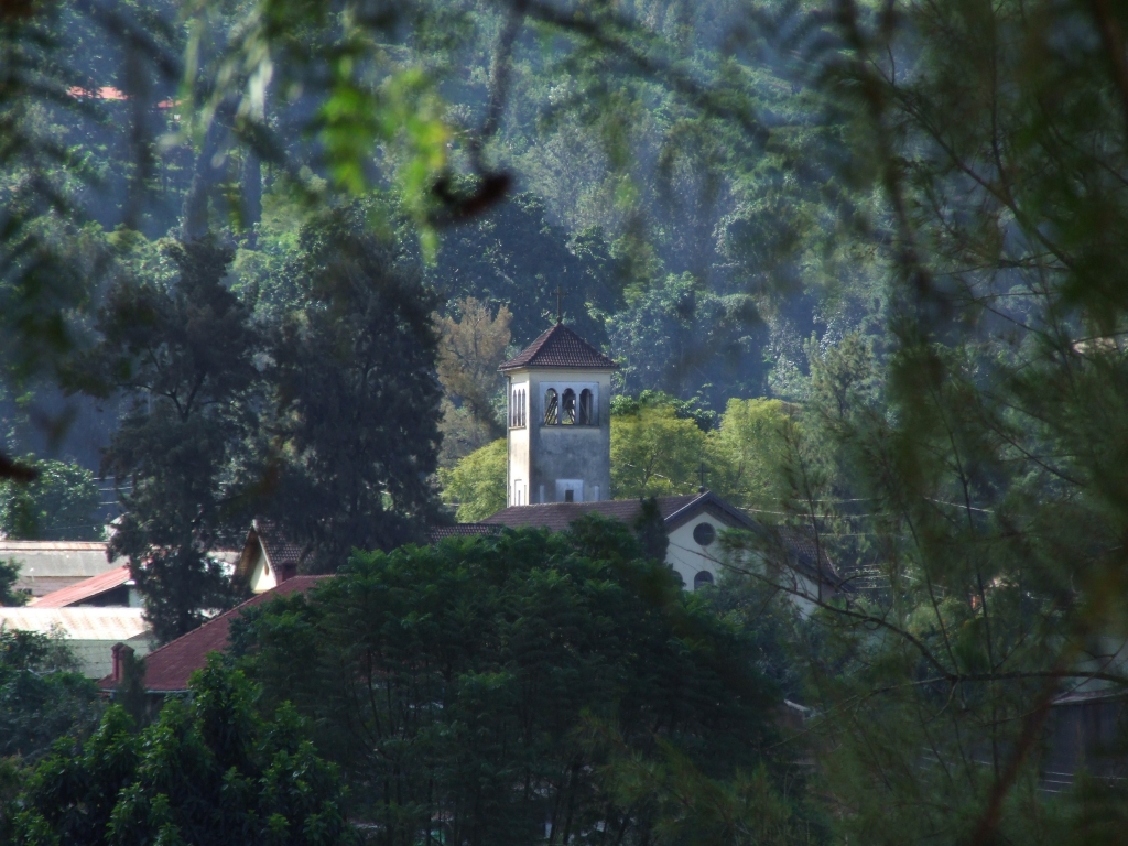 a clock tower atop a hill surrounded by trees