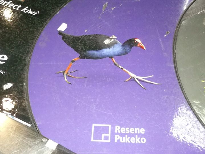 there is a pigeon on a plate with words underneath it