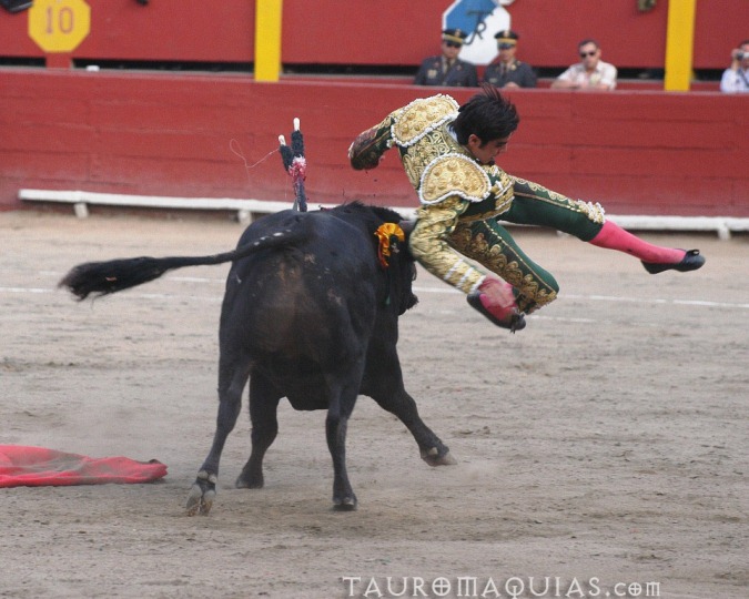 a bull and rider in costume are performing a trick