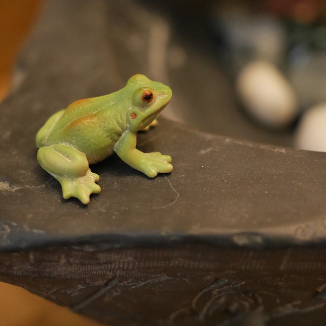 a green frog sitting on top of a wooden bench
