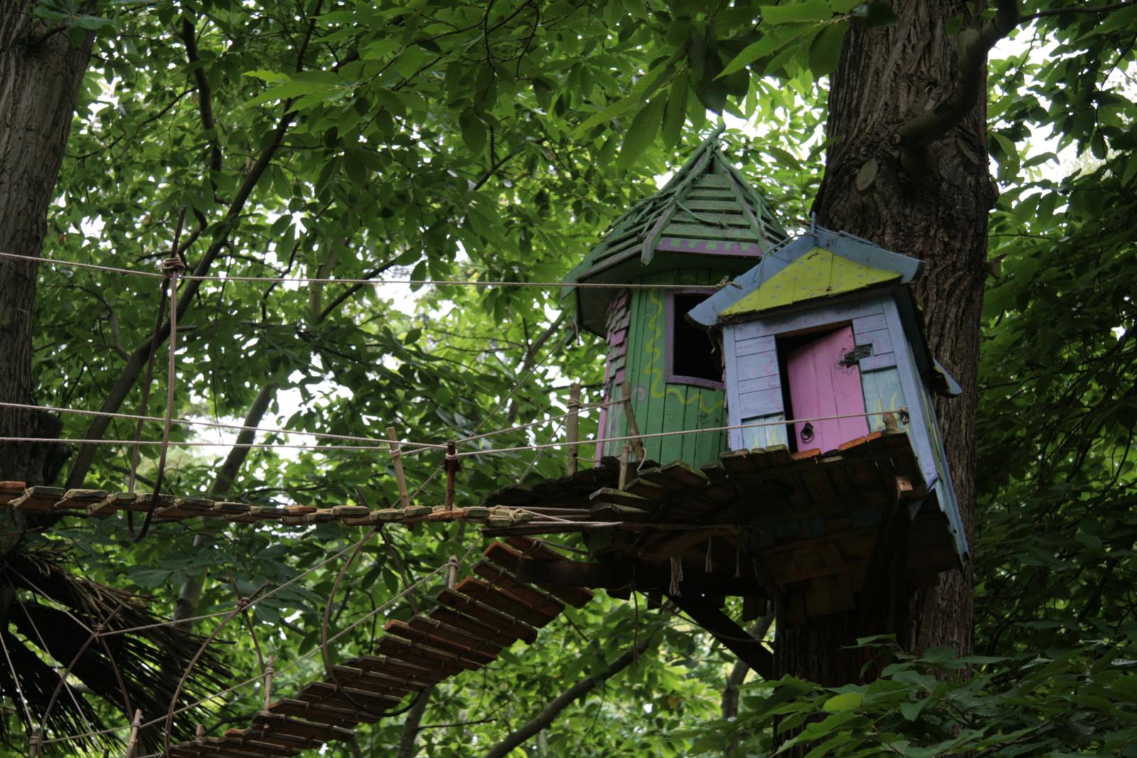 the tree house has stairs going up a tree