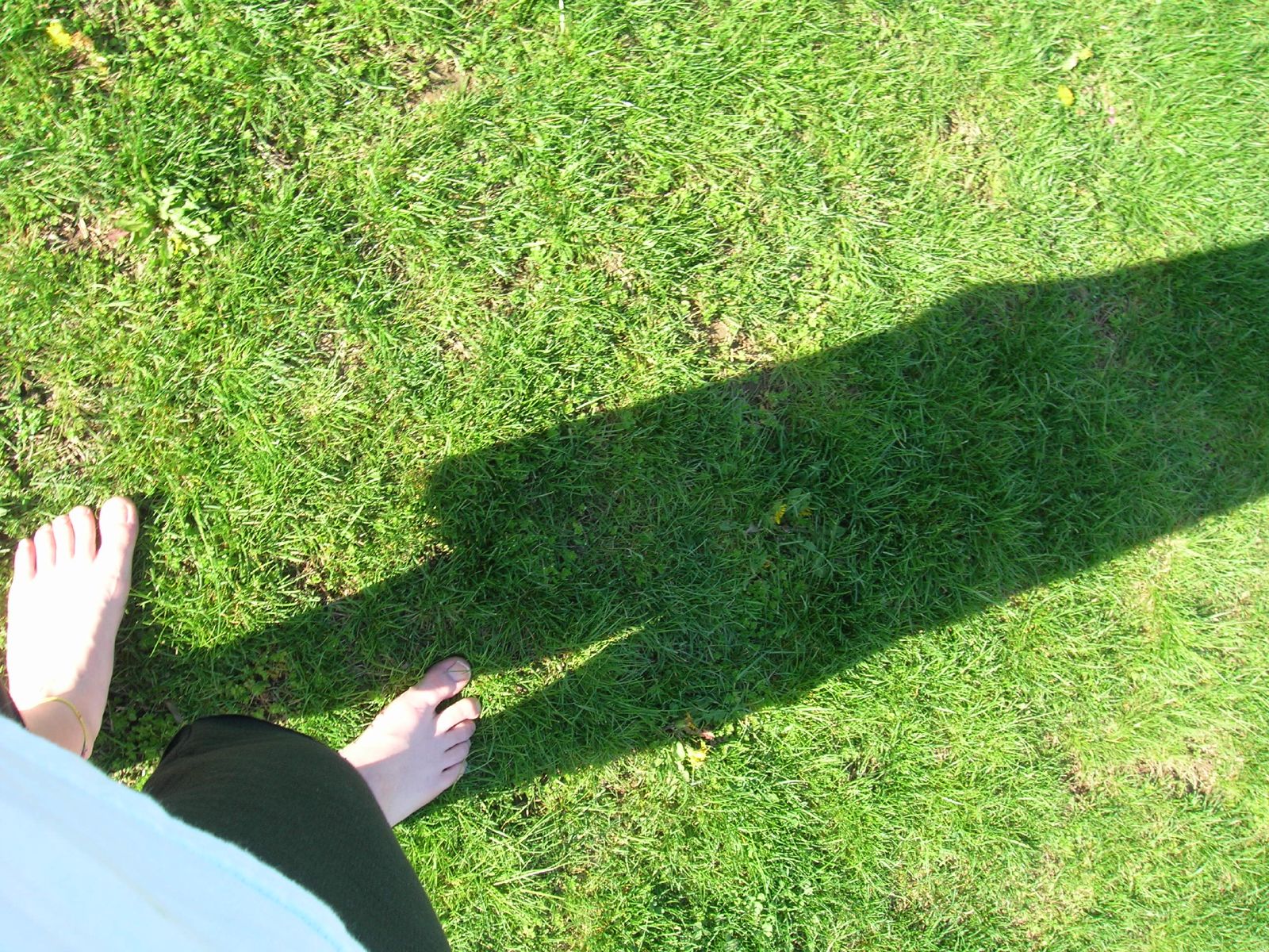 person in shadow standing on a grassy area
