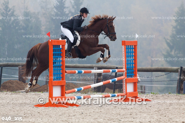 a person on a horse jumps over a pole