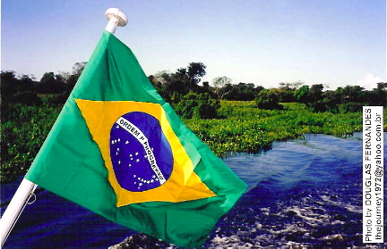an amazon national flag with a white pole sticking out from the water