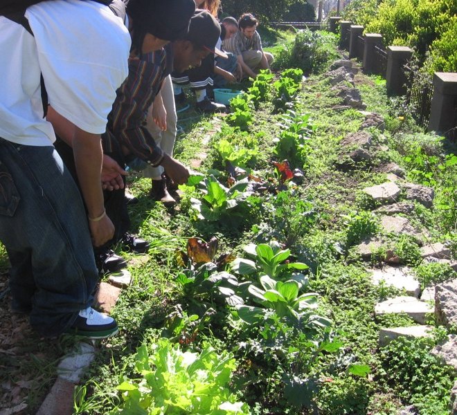 people in a field picking plants from the ground