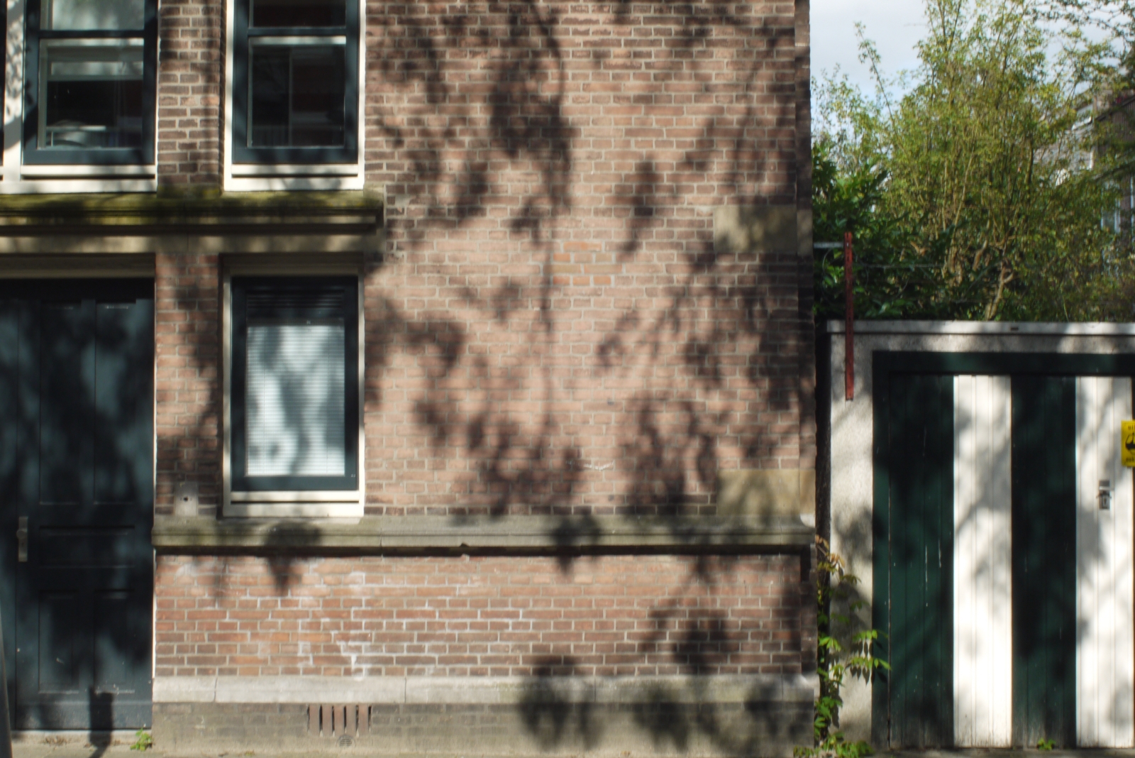 the building has many windows and a tree behind it