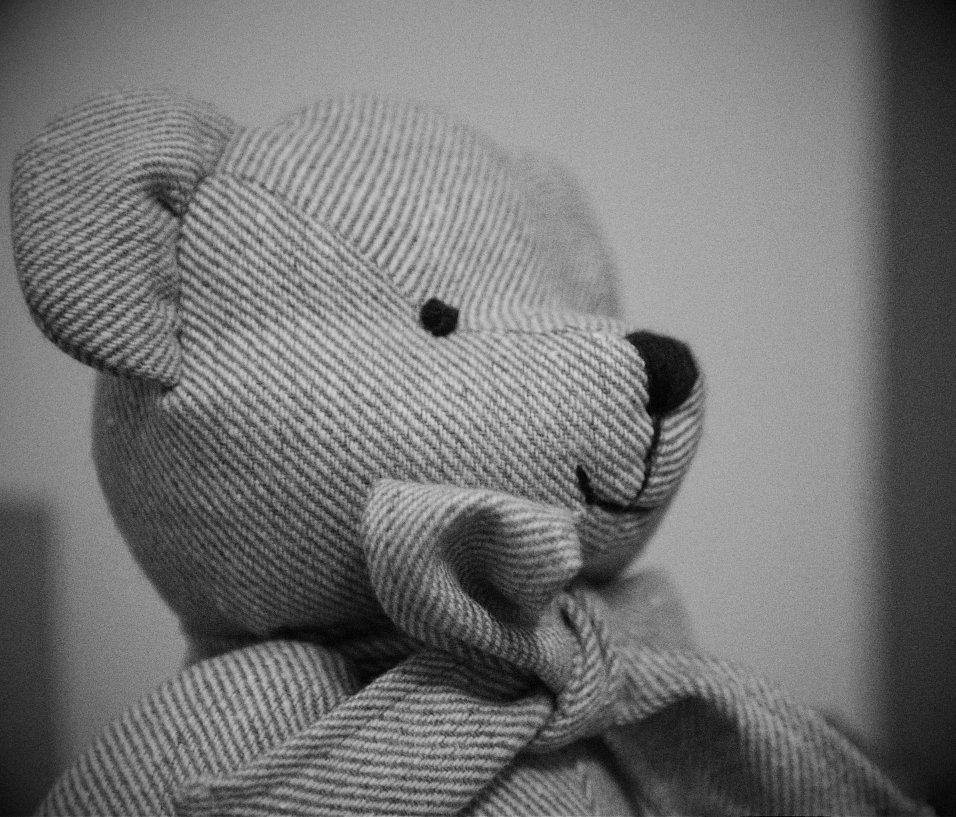 black and white pograph of a teddy bear wrapped in a bow