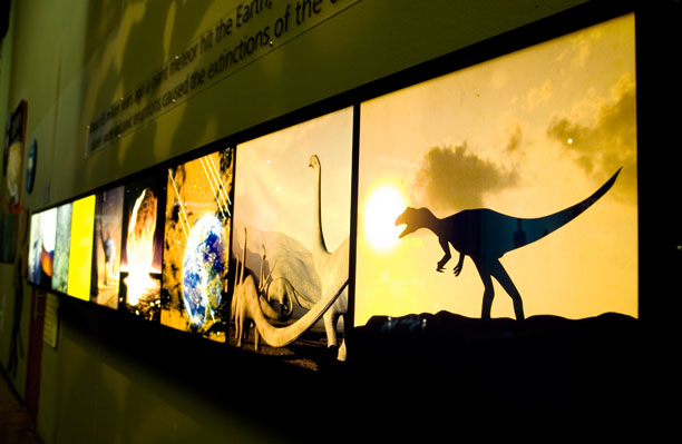 a large display showing the silhouettes of dinosaurs