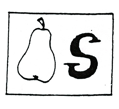 a pear and a letter s are drawn