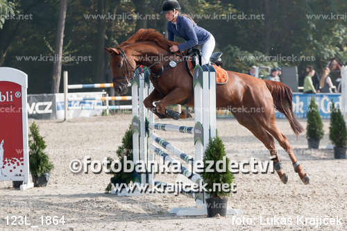 a person jumping a horse over an obstacle