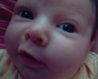 a young baby looks up into the camera