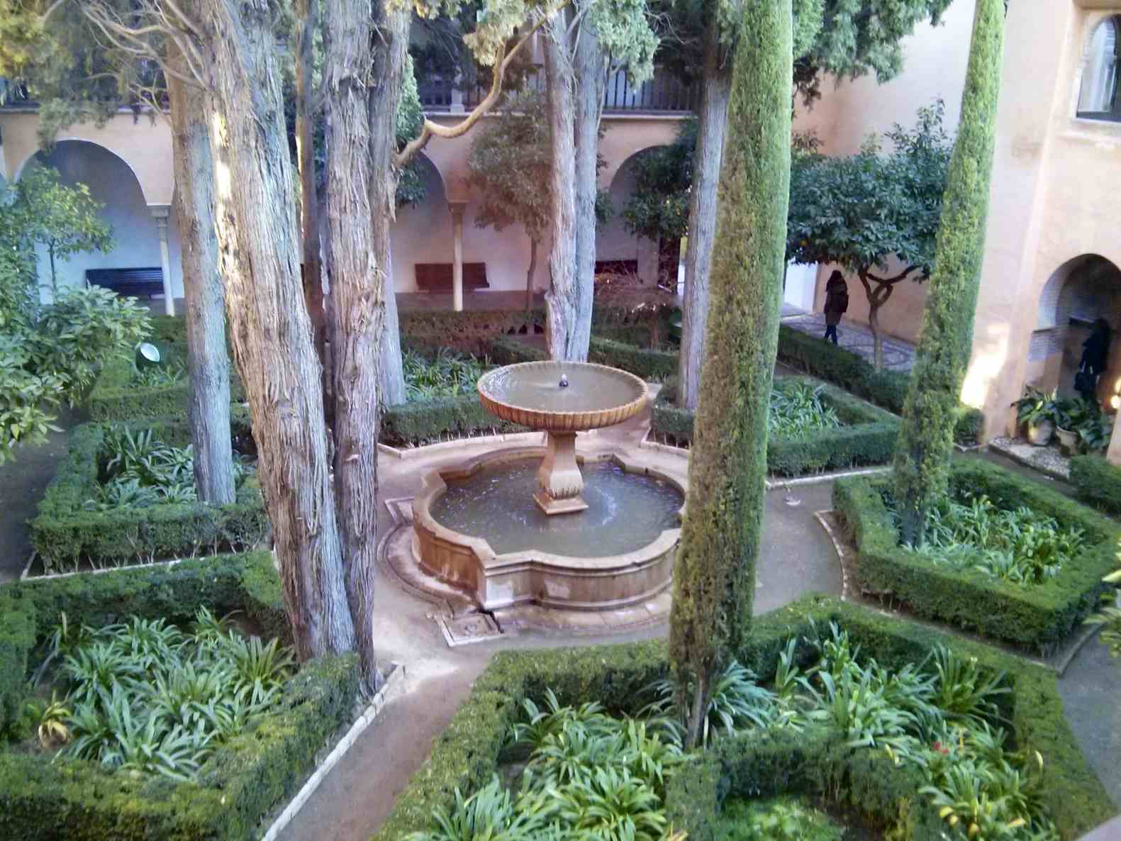 the courtyard garden is made up of trees and shrubs