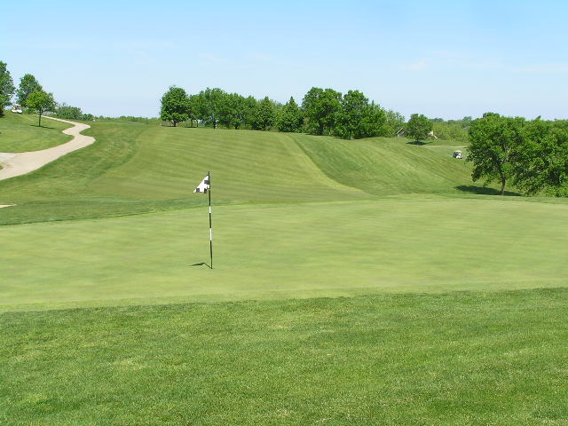 a green with a blue flag near a golf course
