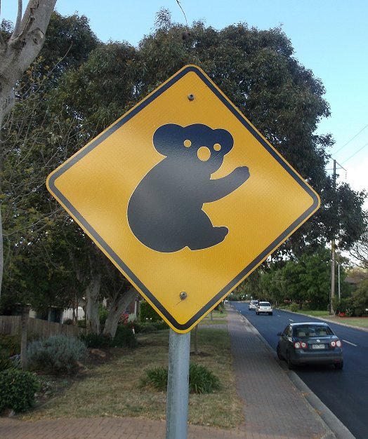 a large koala bear on its head is in the street