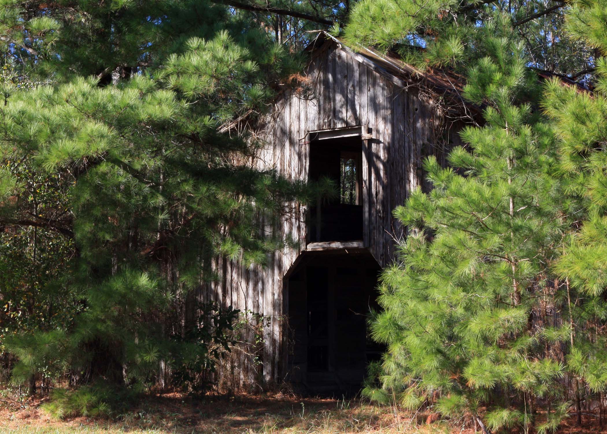 an old barn nestled among trees and grass