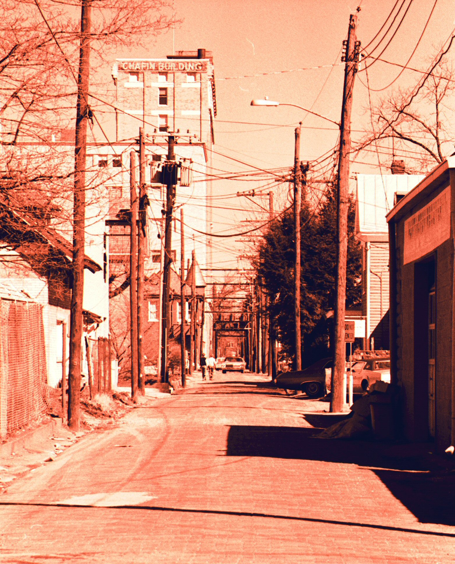 sepia - toned picture of street in front of buildings with trees