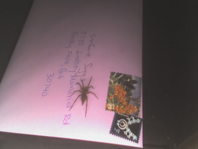 a spider on the inside of a letter