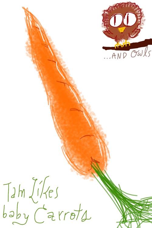 a drawing of a carrot that has a bird on it