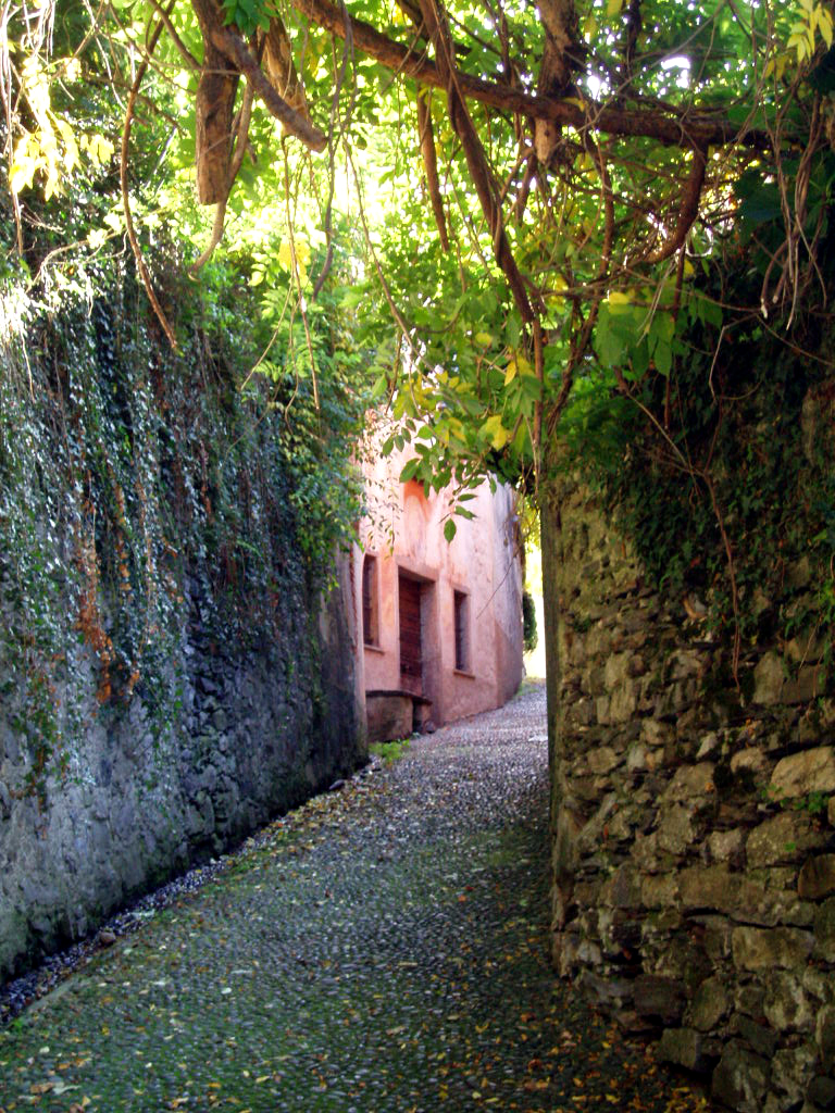 a stone pathway leading up to two brick buildings