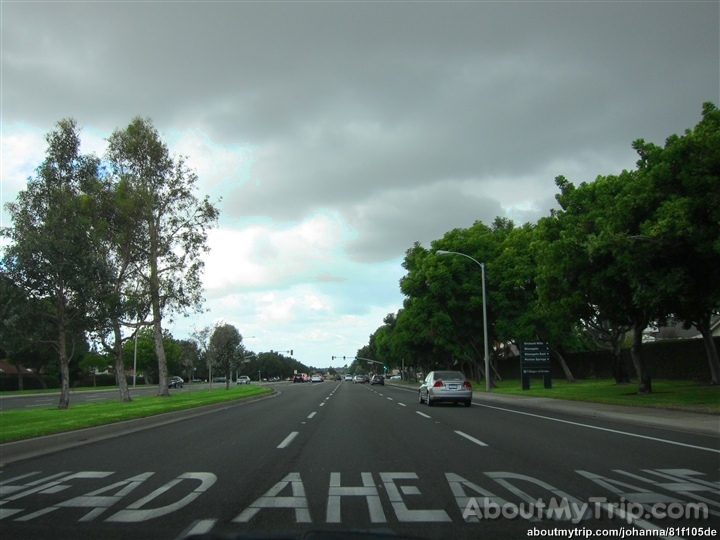 the road that is in front of several trees with cloudy sky