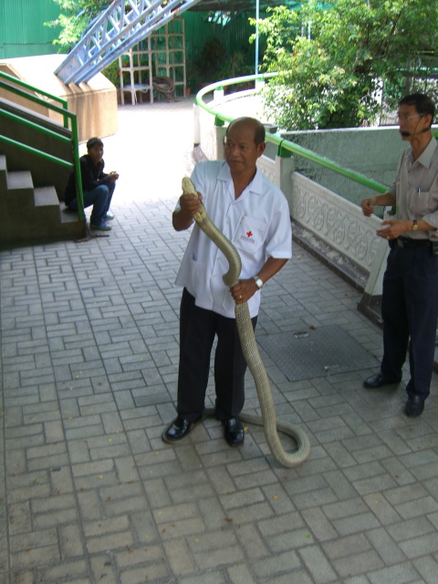a man in a white shirt holding a long snake